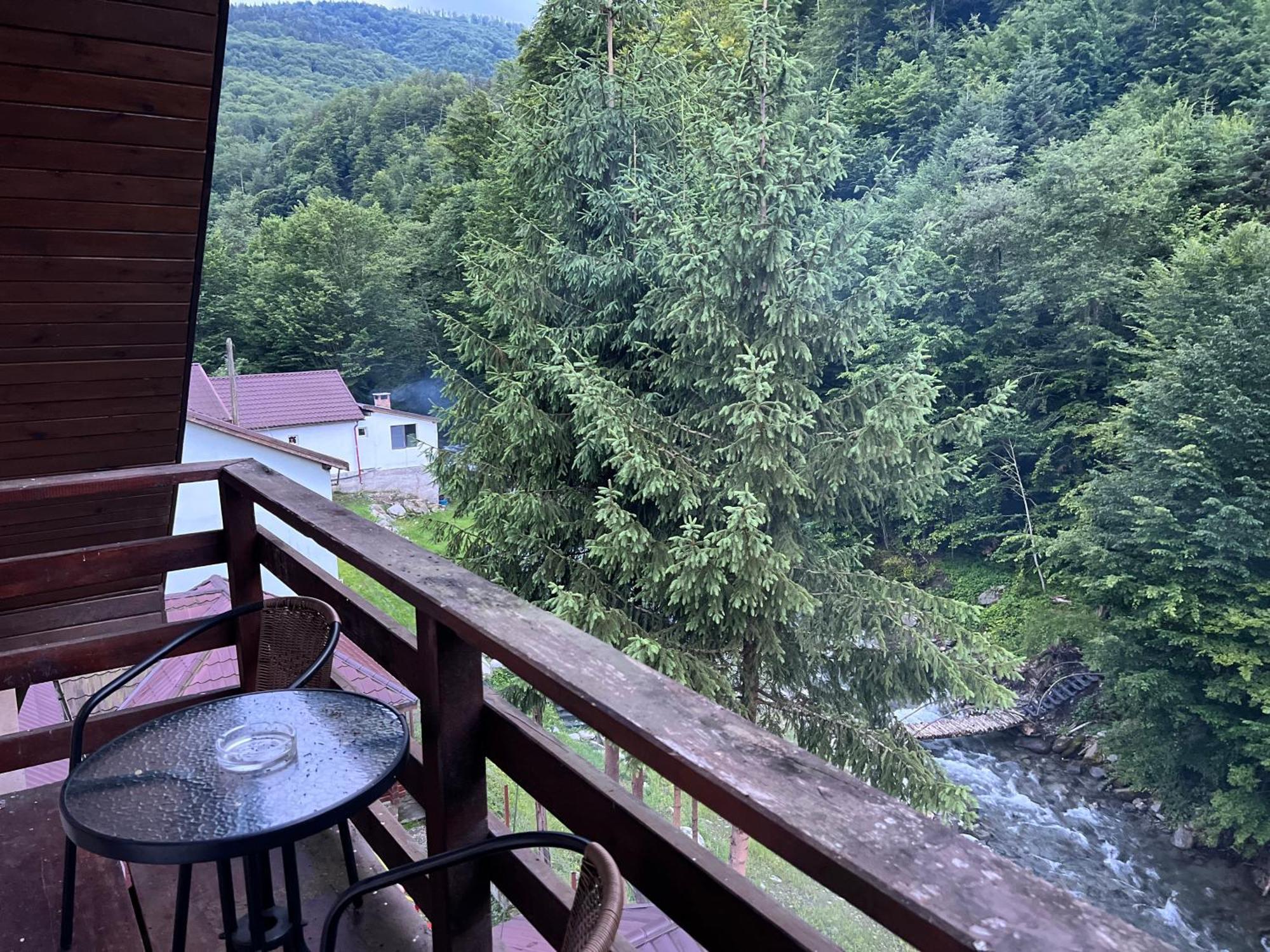 Pensiunea Flora Cîrţişoara Exteriér fotografie