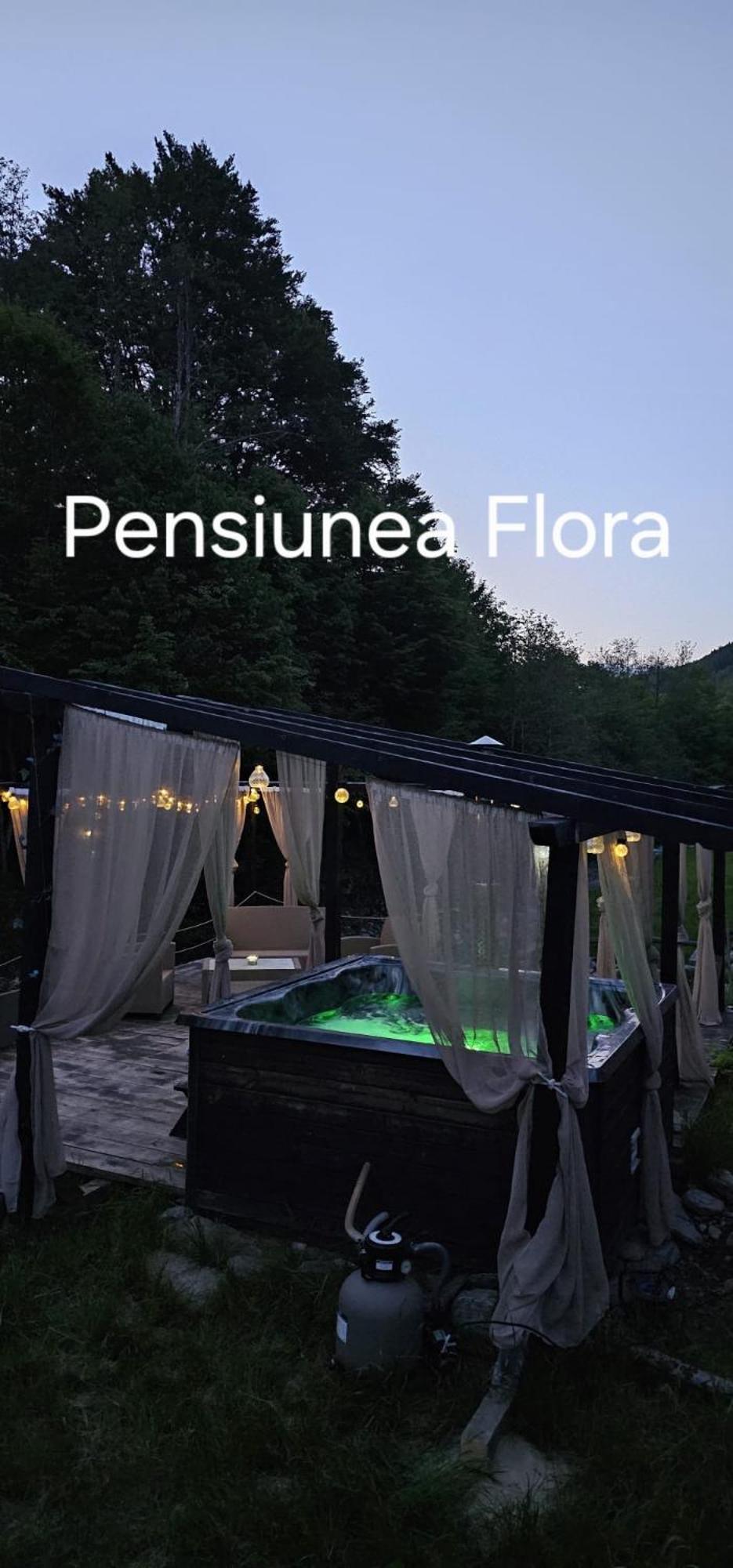Pensiunea Flora Cîrţişoara Exteriér fotografie