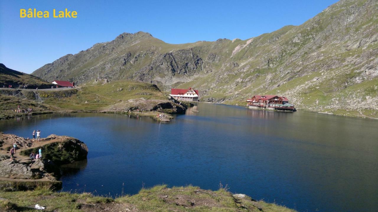 Pensiunea Flora Cîrţişoara Exteriér fotografie